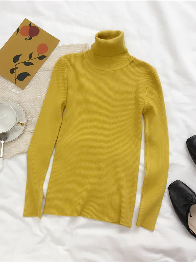 Maglione dolcevita da donna in maglia a coste, vestibilità slim, maniche lunghe