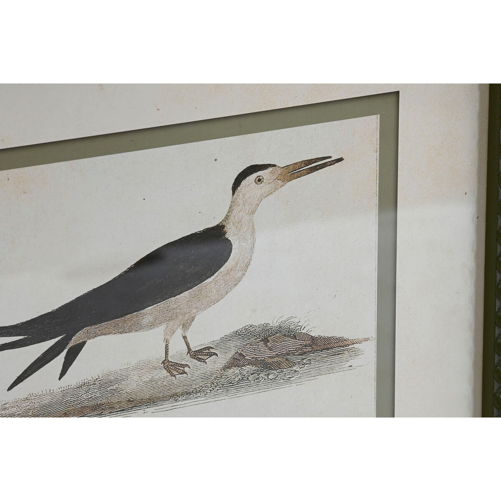 Canvas schilderij berken met vogelmotief, 40 x 2,5 x 54 cm