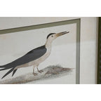 Canvas schilderij berken met vogelmotief, 40 x 2,5 x 54 cm