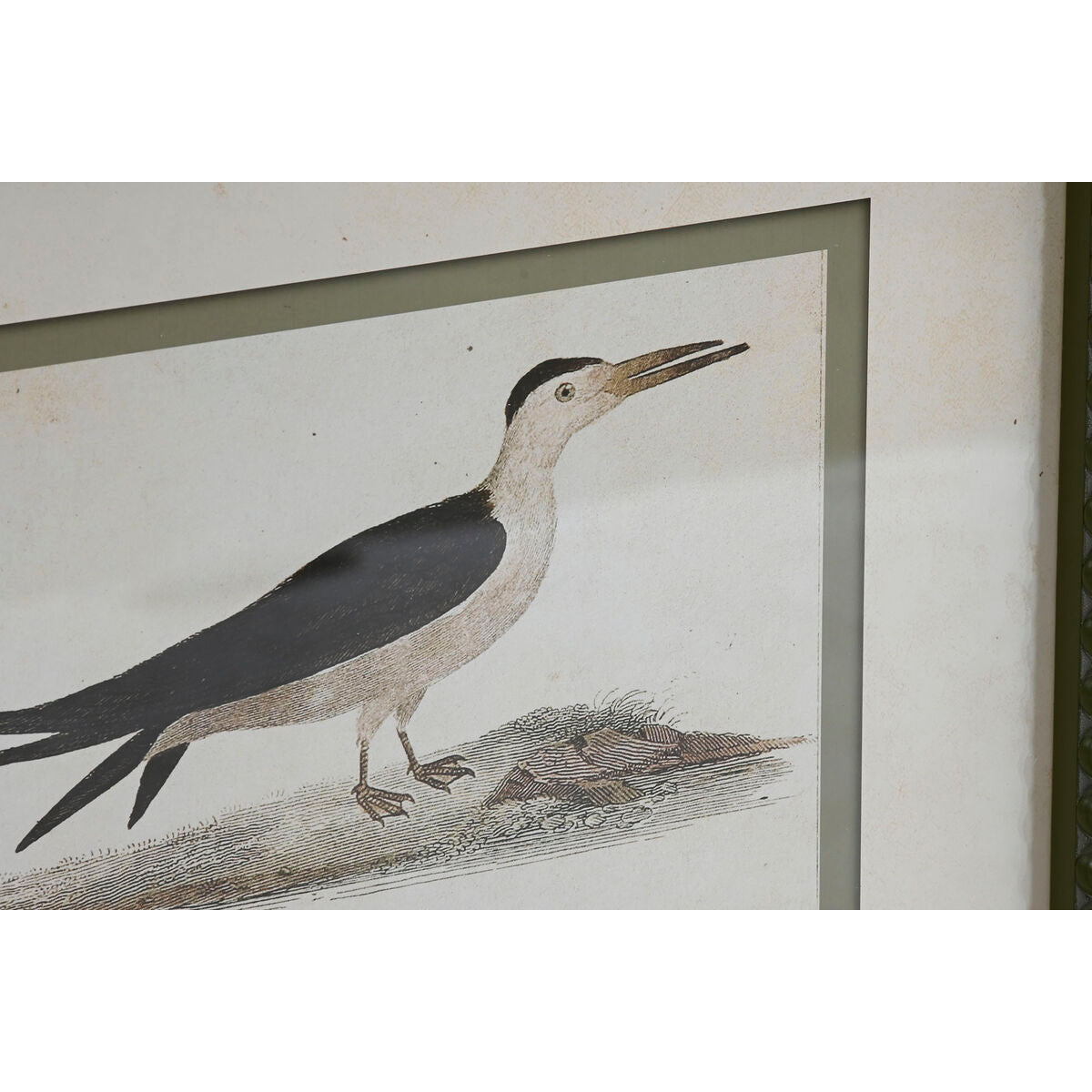 Canvas schilderij berken met vogelmotief, 40 x 2,5 x 54 cm