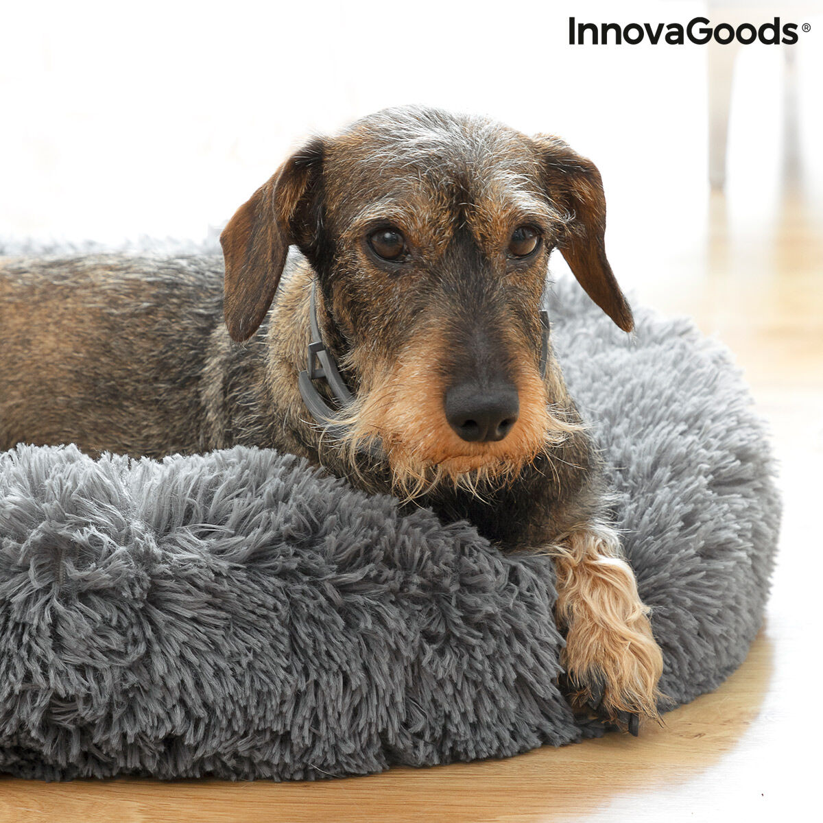Antistressbed voor huisdieren, rond, Ø 60 x 18 cm, grijs