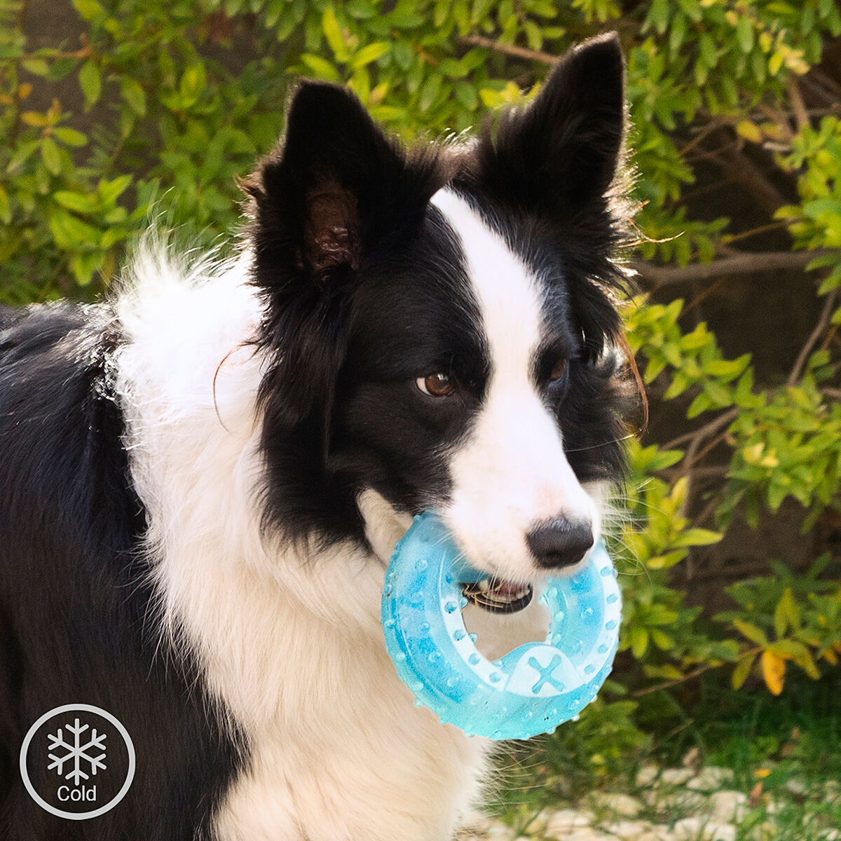 Bevriesbaar kauwspeeltje voor honden 2-in-1, TPR, blauw