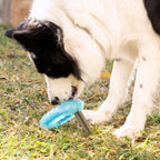 Bevriesbaar kauwspeeltje voor honden 2-in-1, TPR, blauw