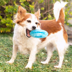Bevriesbaar kauwspeeltje voor honden 2-in-1, TPR, blauw