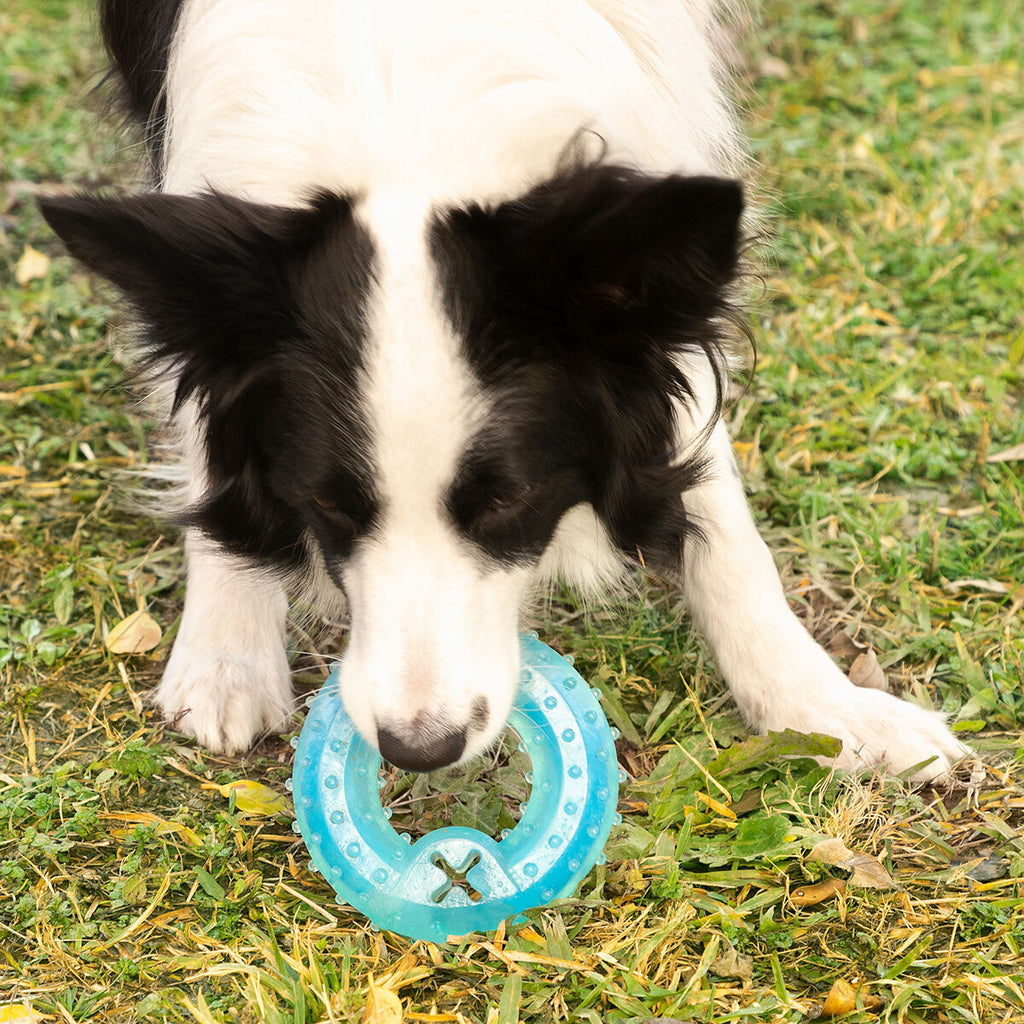 Bevriesbaar kauwspeeltje voor honden 2-in-1, TPR, blauw