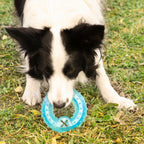 Bevriesbaar kauwspeeltje voor honden 2-in-1, TPR, blauw