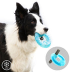 Bevriesbaar kauwspeeltje voor honden 2-in-1, TPR, blauw