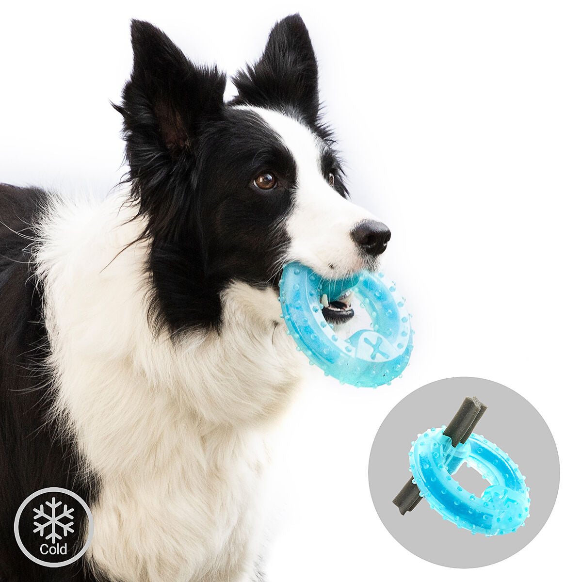 Bevriesbaar kauwspeeltje voor honden 2-in-1, TPR, blauw