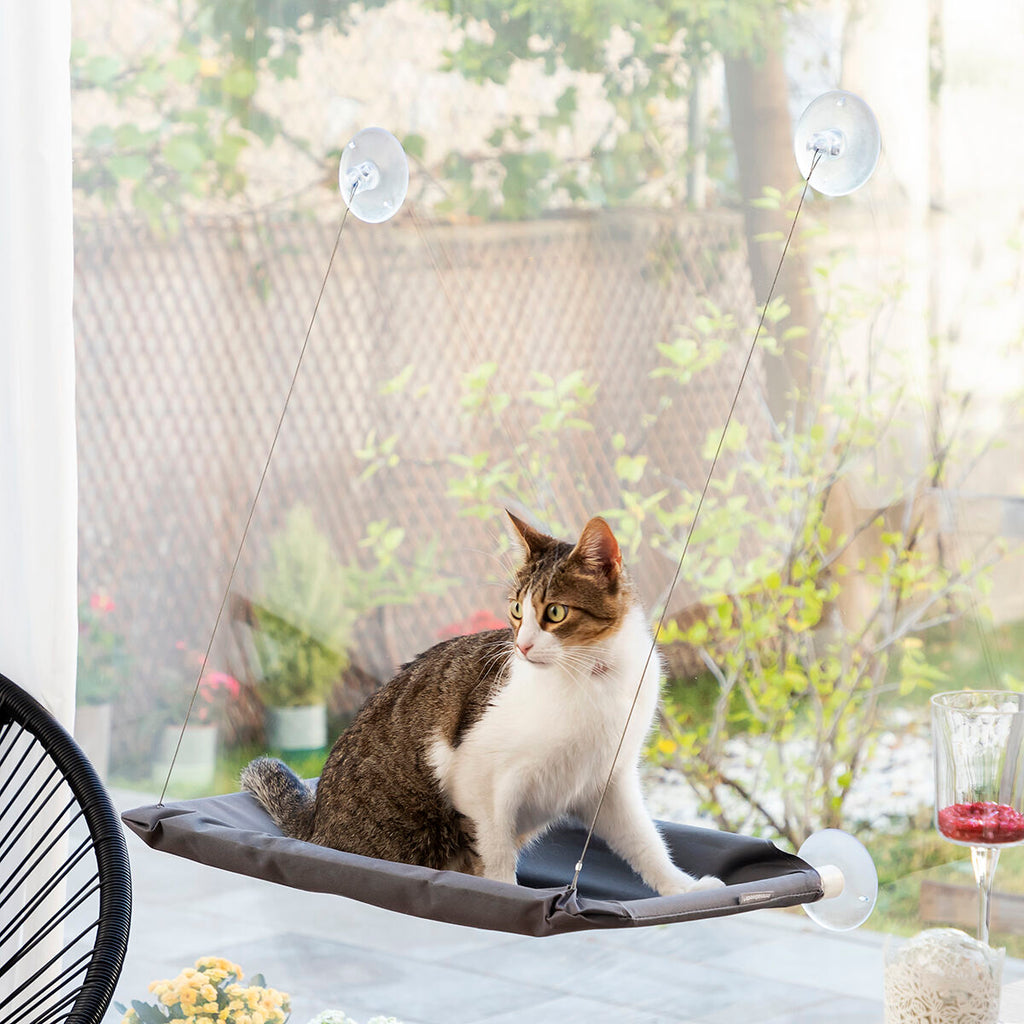 Set selfieclip voor huisdieren en kattenhangmat met zuignappen