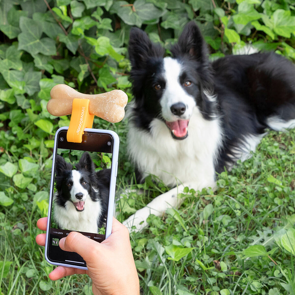 Set selfieclip voor huisdieren en kattenhangmat met zuignappen