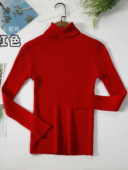 Damen Rollkragenpullover Rippstrick Langarm Eng Anliegend