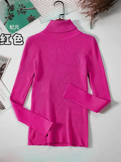Damen Rollkragenpullover Rippstrick Langarm Eng Anliegend