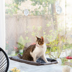 Kattenhangmat voor raam met zuignappen, grijs, tot 30 kg