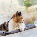 Kattenhangmat voor raam met zuignappen, grijs, tot 30 kg