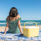 Draagbare harde koelbox retro design 15 L met handvat