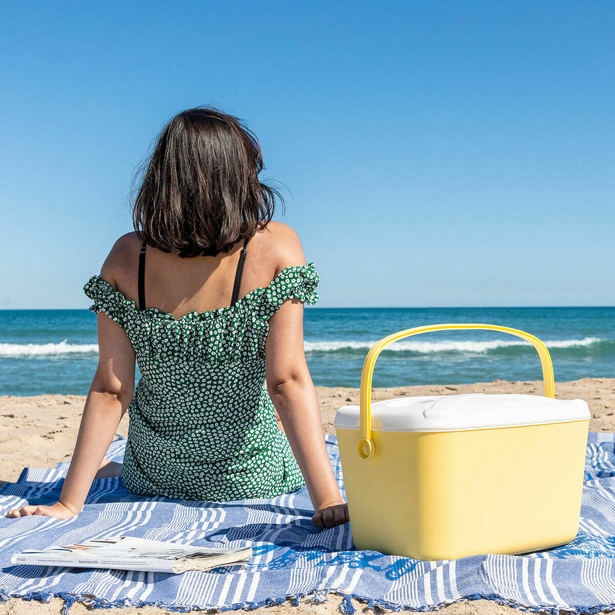 Draagbare harde koelbox retro design 15 L met handvat