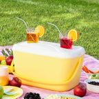 Draagbare harde koelbox retro design 15 L met handvat