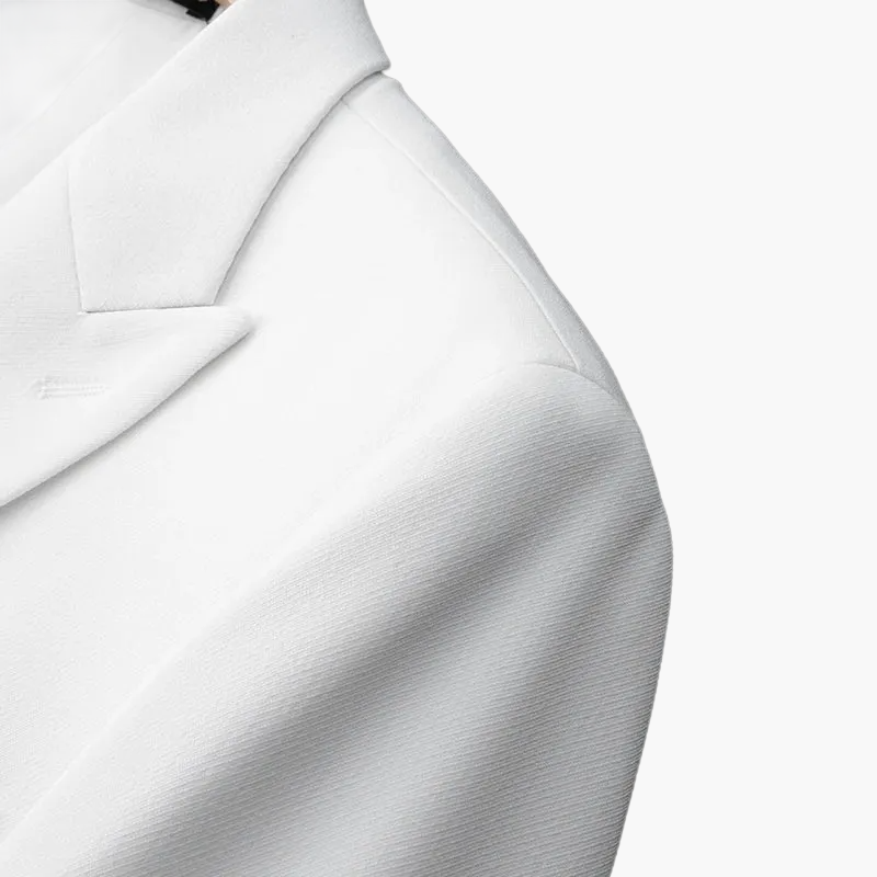 Heren Dubbelrijige Blazer in Moderne Businessstijl – Elegante Blazer voor Feestelijke Gelegenheden en Kantoor