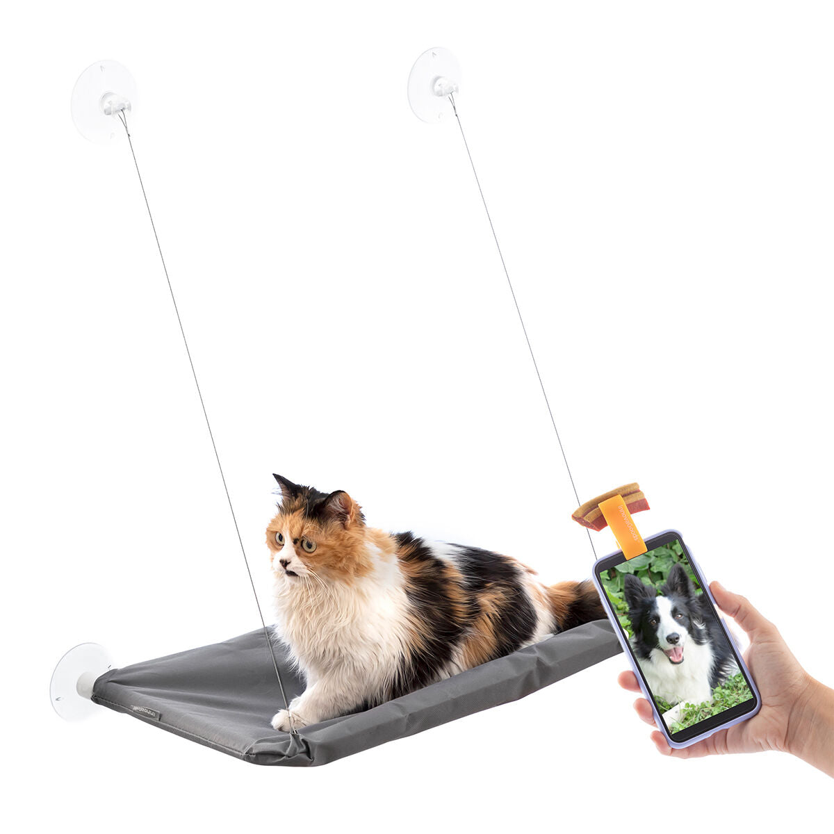 Set selfieclip voor huisdieren en kattenhangmat met zuignappen